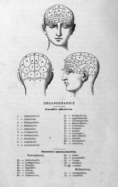 kuvitus Charles Rouvinin kirjasta 1873 Organographie La Tête humaine, kuvitettuja frenologiaa ja fysionomiaa koskevia tutkimuksia sovellettu kuuluisiin hahmoihin Paris 1873 tekijältä Unknown artist