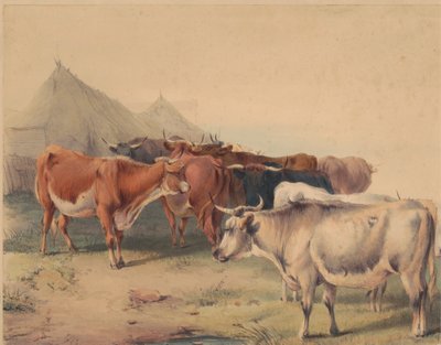 Um rebanho de Cattlefinnish tekijältä Unknown artist