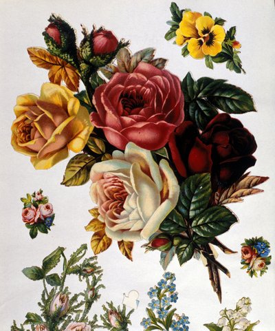 Kimppu ruusuja. 1800-luvun kromolitografia. tekijältä Unknown artist