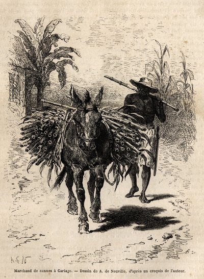 Keppikauppias ja hänen muulinsa Cartagossa (Costa Rica), ainoa kauppias, joka elävöittää kaupungin tyhjiä katuja. Kaiverrus havainnollistamaan matkaa New Granadaan, tohtori Saffray, vuonna 1869, julkaistu "" Le tour du monde""" 1873, toimittanut Edouard Ch tekijältä Unknown artist