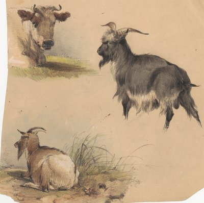 Lehmä ja kaksi vuohta tekijältä Unknown artist