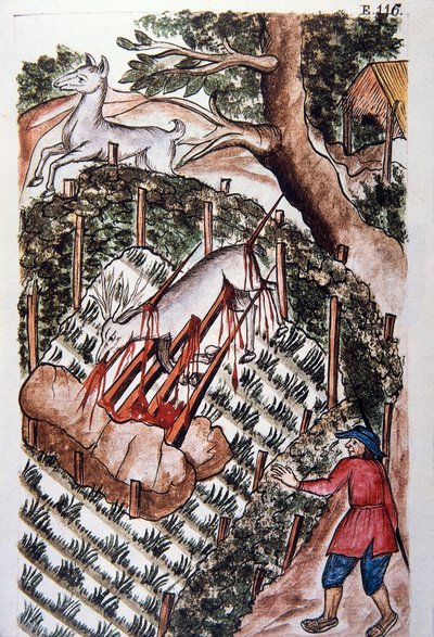 Hirvi joutuu metsästäjien ansaan Trujillon piispan (1782-1785) Baltazar Martinez Compañón y Bujandan kirjasta "Trujillo del Peru" tai "Códice Martínez Compañón" tekijältä Unknown artist