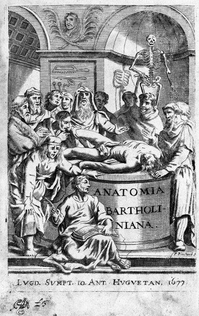 Anatomian esittely Frontispice ottaa Thomas Bartholinin (1616-80) (Bartholinus) "Anatomia Reformatasta" 1677 tekijältä Unknown artist