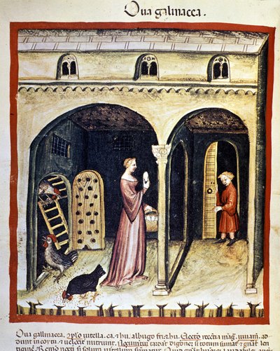 Nuori nainen poimii kananmunia. Valaistus lääketieteen ja dietetiikan lypsystä "" Tacuinum sanitatis"" tekijältä Unknown artist