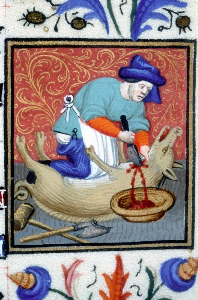 Joulukuun allegorinen esitys. Teurastaja tappaa sian. Miniatyyri 1300-luvun käsikirjoituksesta. tekijältä Unknown artist