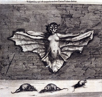 Lepakot ja rotat. Athanasius Kircherin "De China Monumenta". tekijältä Unknown artist