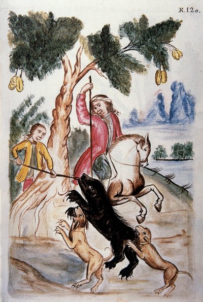 Karhunmetsästys, kirjasta "Trujillo of Peru" tai "Codex Martinez Companion", kirjoittaneet Balthazar Martinez Companion ja Bujanda, Trujillon piispa (1782-1785) tekijältä Unknown artist