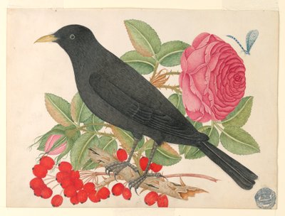 Musta lintu ruusuilla tekijältä Unknown artist