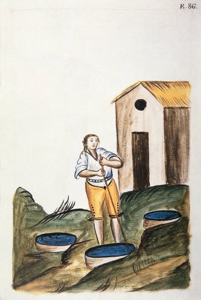 Sininen villan värjäykseen käytetty värialusta Baltazar Martinez Companionin ja Trujillon piispan (1782-1785) Bujandan kirjasta "Trujillo of Peru" tai "Codex Martinez Companion" tekijältä Unknown artist