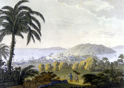 Brasilia, näkymä Ilheuksen kaupunkiin Bahian osavaltiossa tekijältä Unknown artist