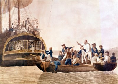 Bountyn kapteeni William Bligh (1754 - 1817), jonka miehistö hylkäsi. tekijältä Unknown artist