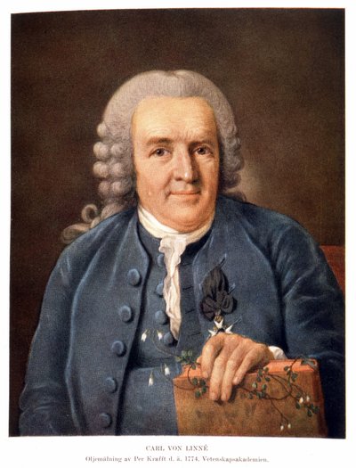Carl Von Linné Ruotsalainen luonnontieteilijä ja kirjailija tekijältä Unknown artist