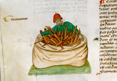 Kaneli Myyjä Kuvaus lääkekasveista ja niiden valmistustavasta. Käsikirjoitussivu "" Herkkuja yrtteillä"" (Tractatus de herbis), kirjoittanut Pedanius Dioscorides (Dioscorides) (40-90 jKr.) Lat.1152 tekijältä Unknown artist
