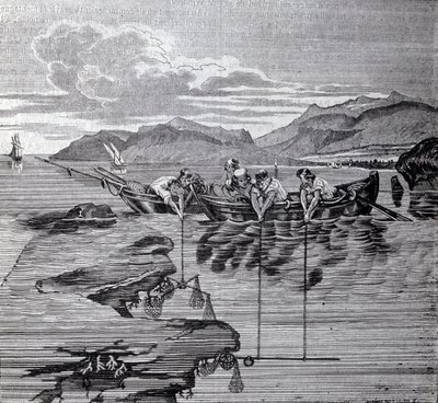 Korallin kalastus salaberin ja varusteiden avulla. tekijältä Unknown artist
