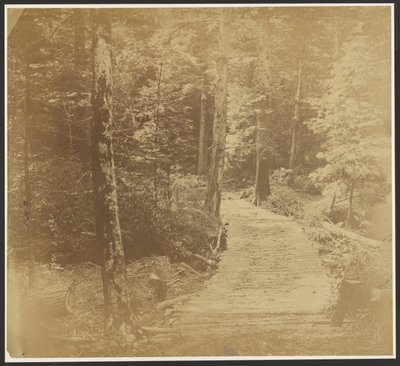[Corduroy Road matkalla Harper