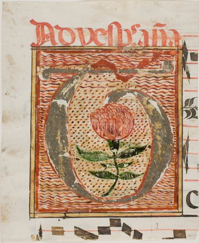 Koristeltu alkukirjain "T" ja kukka käsikirjoituksesta tekijältä Unknown artist