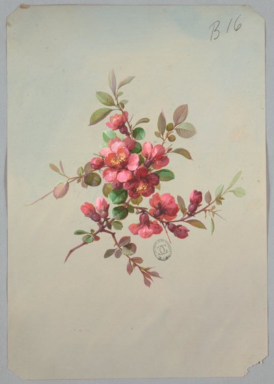 Suunnittelu tapeteille ja tekstiileille: Kukat tekijältä Unknown artist