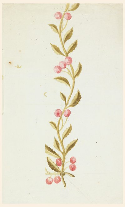 Suunnittelu kudotuille tai brodeeratuille reunuksille tekijältä Unknown artist
