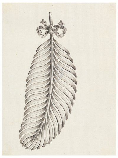 Suunnittelu höyhenen muotoiselle rintakorulle tekijältä Unknown artist