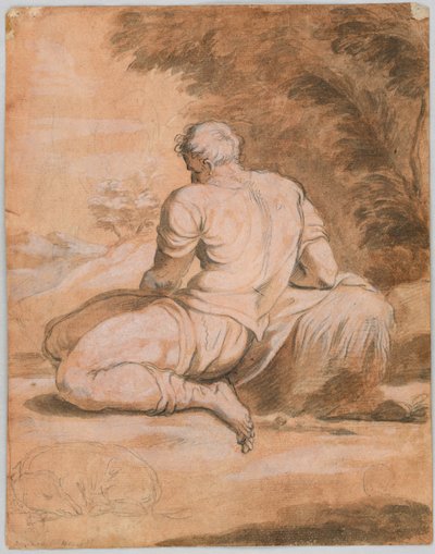 Piirustustutkimus: Narcissus (?) tekijältä Unknown artist
