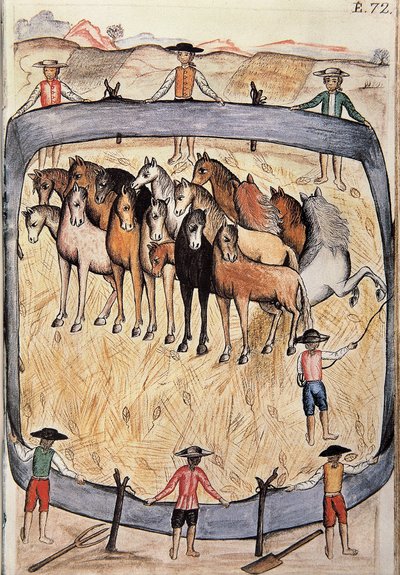 Villihevosten kouluratsastus, kirjasta "Trujillo del Peru" tai "Codex Martinez Companion", Baltazar Martinez Companion ja Bujanda, Trujillon piispa (1782-1785) tekijältä Unknown artist