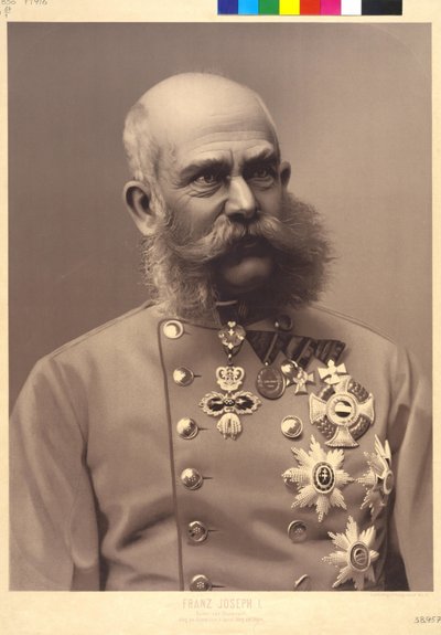 Itävallan keisari Franz Joseph I tekijältä Unknown artist