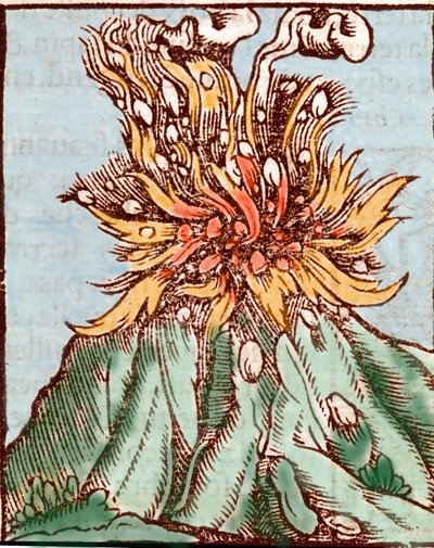 Tulivuoren purkaus. 1500-luvun kaiverrus. tekijältä Unknown artist