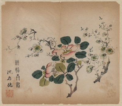 Kukkiva Prunus tekijältä Unknown artist