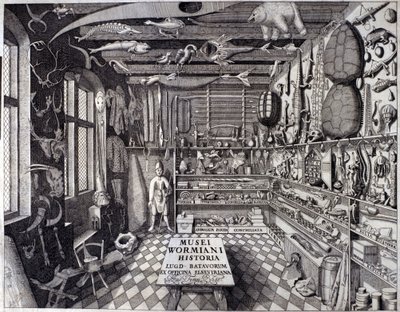 "Musei Wormiani Historia" -elokuva, joka esittää Ole Wormin tai Olaus Wormiuksen uteliaiden kabinetin sisusta tekijältä Unknown artist