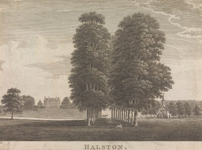 Halston; sivu 22 (Kakkonen osa) tekijältä Unknown artist