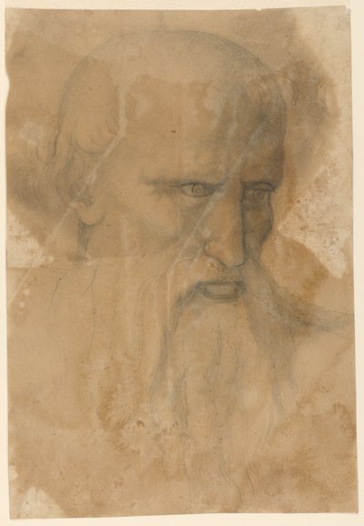 Vanhuksen parrakkaan miehen pää tekijältä Unknown artist
