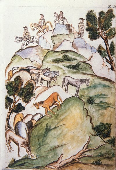 Hevosenvartijat piirittävät meriä vuorilla saadakseen ne kiinni, Trujillon piispan Baltazar Martinez Compañón y Bujandan (1782-1785) kirjasta "Trujillo del Peru" tai "Códice Martínez Compañón" tekijältä Unknown artist