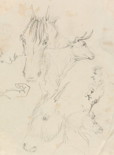 Hevoset, lehmät ja miehet tekijältä Unknown artist