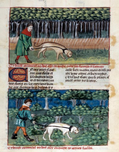 Kuinka ohjata koiria Miniatyyri, joka on otettu Gaston III Phoebusin, Foixin kreivin, Lord of Bearnin (1331-1391) "Metsästyksen kirjasta" tekijältä Unknown artist