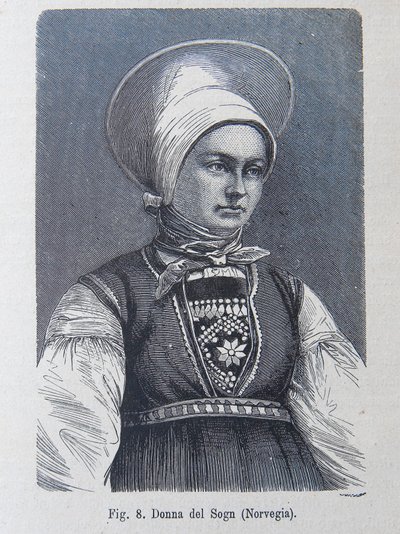 Kuvitus Louis Figuierin "Ihmiskunnasta". tekijältä Unknown artist