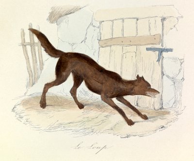 Kuvitus kirjasta "Complete Works of Buffon": Buffon: Les animaux: Buffon: Le loup (kaiverrus) tekijältä Unknown artist