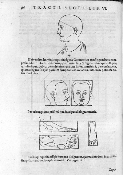 Kuva fysiognomiasta Robert Fluddin (Robertus de Fluctibus) teoksesta "Collection of Works". Lontoo 1617 tekijältä Unknown artist