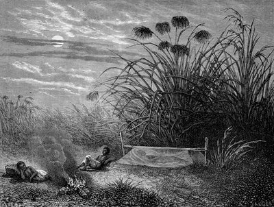 Masoumbossa: Livingstone Mosquito Net - "" Livingstonen viimeinen matka 1866-1873"" in "" Tour du Monde"", 2. sem. 1875 tekijältä Unknown artist