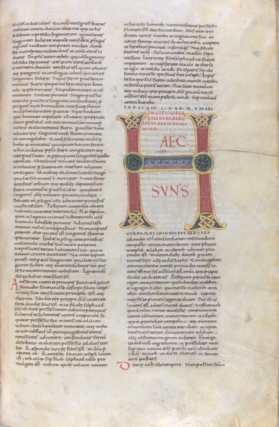 Deuteronomiumin kirjan incipit, Capulettera, jossa on merkintä Haec sun, 1100-luku (pienoisfilmi, kalvokäsikirjoitus). tekijältä Unknown artist