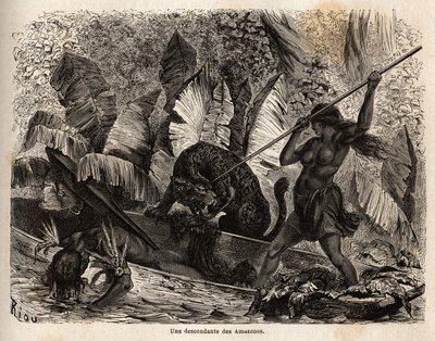 Intian ticuna (Peru), joka hyökkäsi keihällä tiikeriin, joka hyppäsi juuri kanoottinsa ja loukkasi toveriaan, Nhamondas-joen ticunat ovat arvostettuja soturivaimoistaan, joten ensimmäiset matkailijat ja tutkijat, jotka havaitsivat heitä, kutsuivat heitä am tekijältä Unknown artist