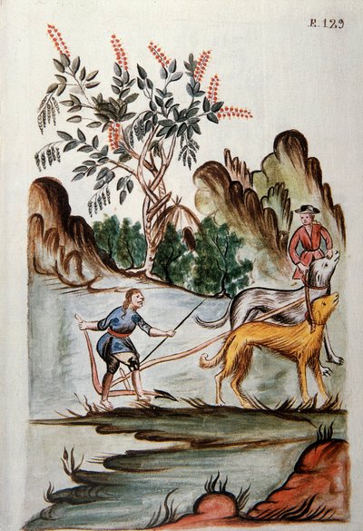Intiaanit kyntämässä peltoa koirien kanssa, Baltazar Martinez Companionin ja Trujillon piispan (1782-1785) Bujandan kirjasta "Trujillo del Peru" tai "Codex Martinez Companion" tekijältä Unknown artist