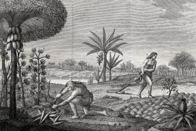 Alkuperäiskansat työskentelevät Kolumbian Orenoque-altaassa. Kaiverrus 1780 tekijältä Unknown artist