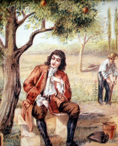 Isaac Newton (1642-1727), englantilainen matemaatikko, fyysikko ja tähtitieteilijä, löytää gravitaatioteorian tarkkailemalla omenapuun putoamista, joka on esimerkki 1800-luvulta. tekijältä Unknown artist