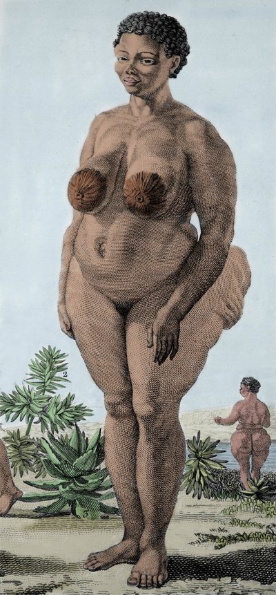 La Venus Hottentote, nainen rotu Bochiman; (The Hottentot Venus,) kaiverrus vuodelta 1815. tekijältä Unknown artist