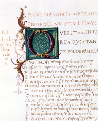 Ovideksen metamorfoosit. 1500-luvun käsikirjoitus. Comunale biblioteca de Rimini tekijältä Unknown artist