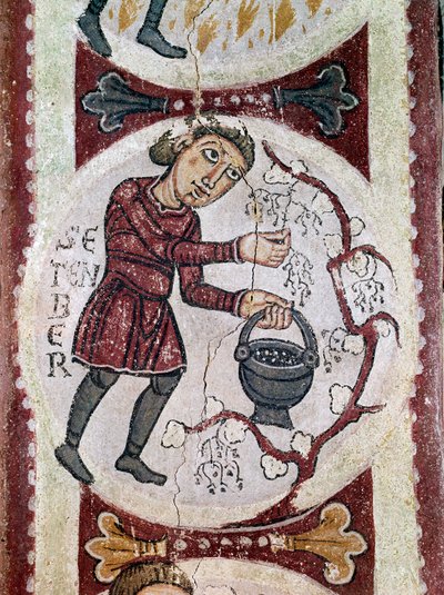 Kuukausijakso: syyskuu (sadonkorjuu). Yksityiskohta 1100-luvun freskosta San Isidoron Real Colegiata (Royal Collegiale of Saint Isidore) kuninkaallisesta panteonista. Leon. tekijältä Unknown artist