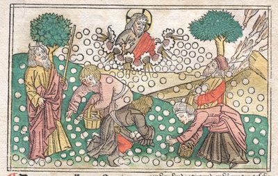 Nürnbergin Raamattu: Manna putoaa taivaasta tekijältä Unknown artist