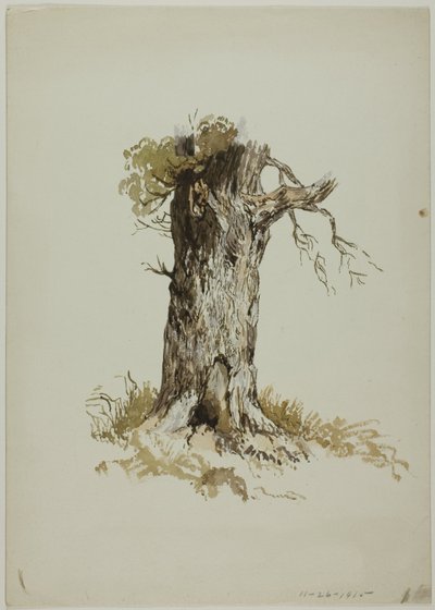Vanha puunrunko (etusivu); vanha puunrunko (kääntöpuoli). tekijältä Unknown artist