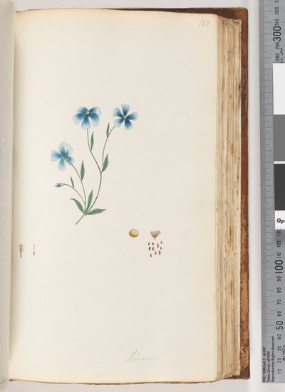 Sivu 100. Linum tekijältä Unknown artist