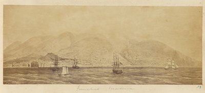 [Panoraama satamasta, Funchal, Madeira] tekijältä Unknown artist